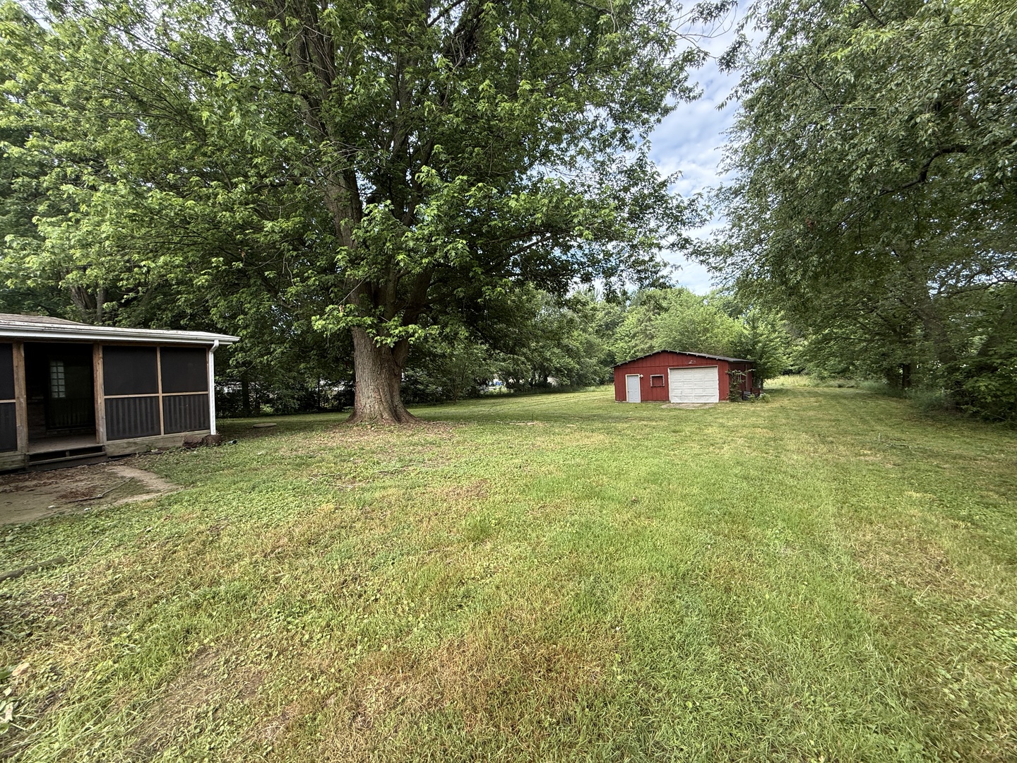 1826 Albert Lane Wilmington, IL 60481 - Photo 4 of 18 a large tree in front of a house