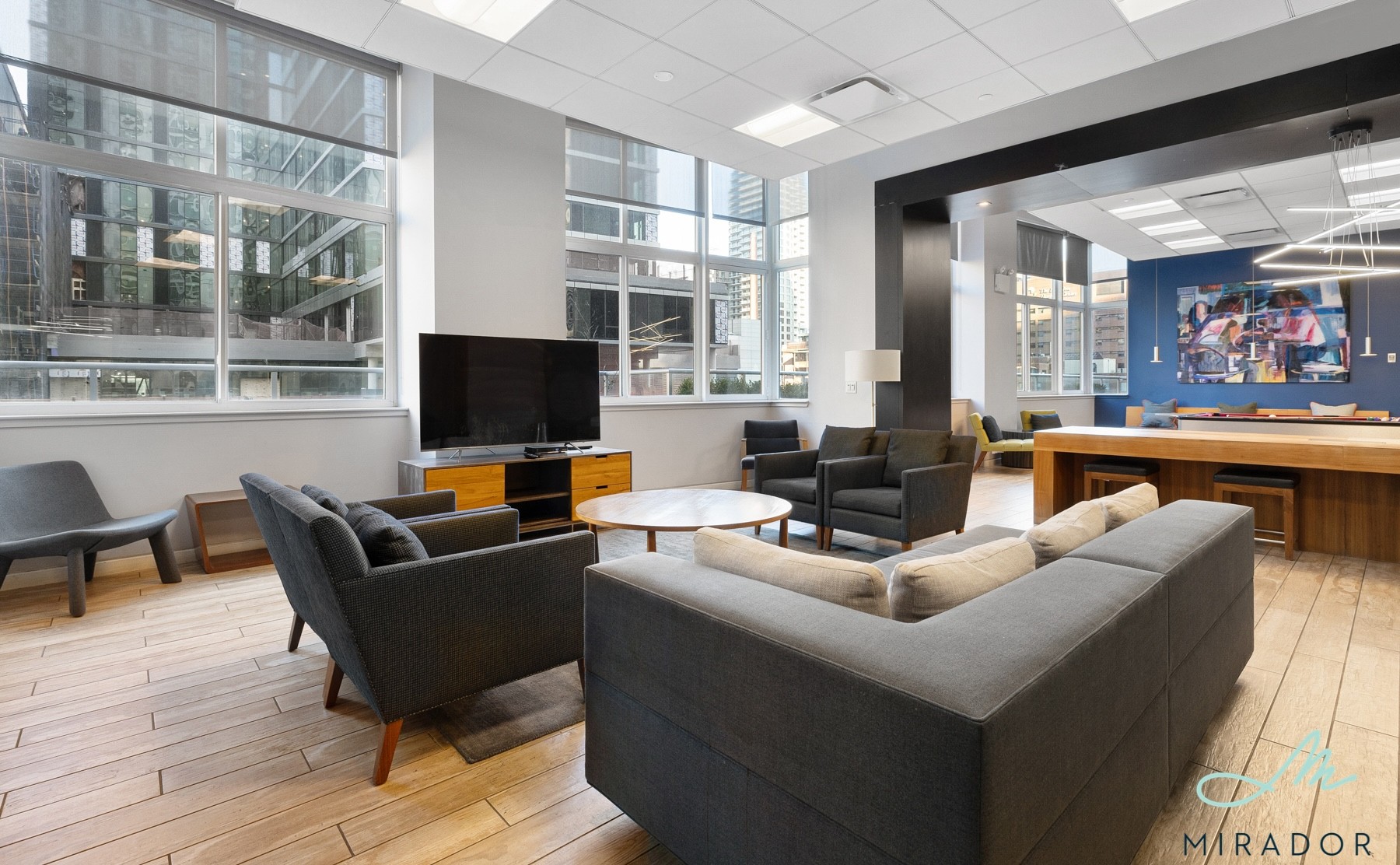 80 Dekalb Avenue, Unit 30C Brooklyn, NY 11201 - Photo 25 of 28 a living room with furniture a flat screen tv and a floor to ceiling window