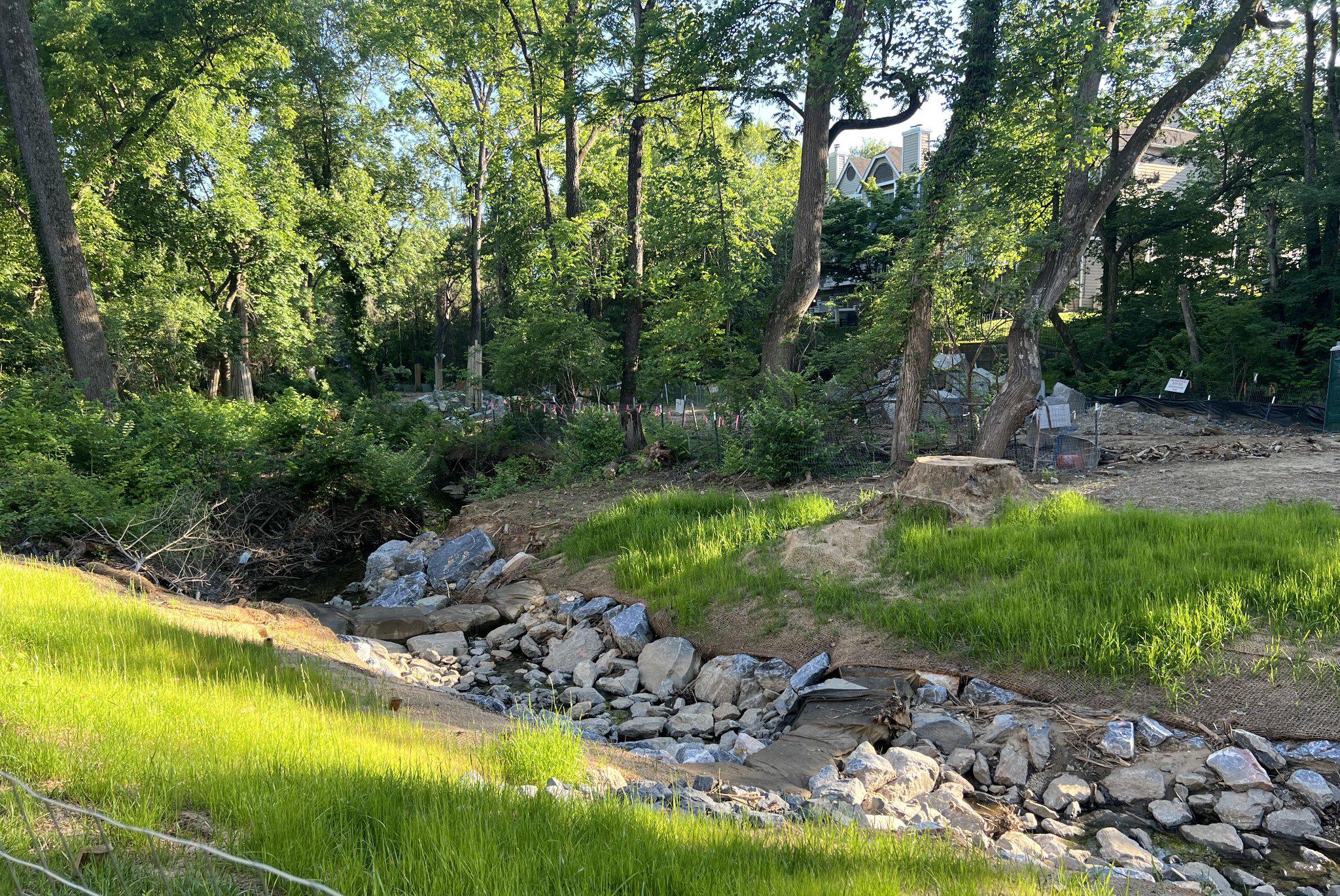 10922 Brewer House Road Rockville, MD 20852 - Photo 24 of 24 Serene streamside view with new tree plantings.