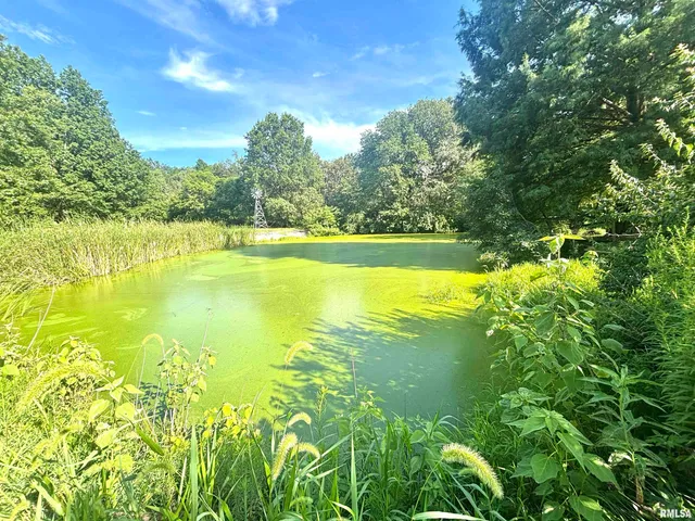 $260,000 | 3638 Hotze Road, Salem, IL 62881