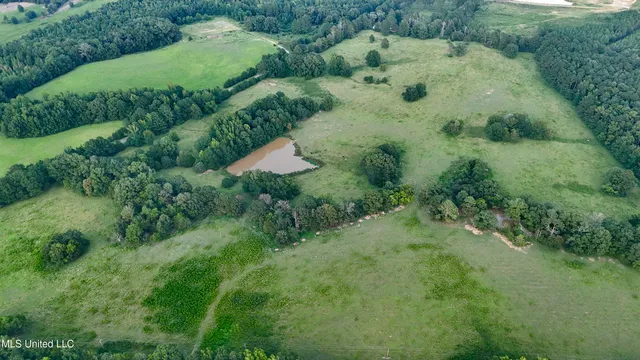 $655,875 | 4 Sulphur Springs Road, Canton, MS 39046