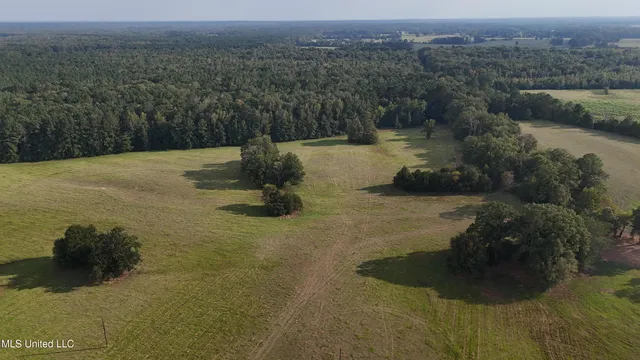 $655,875 | 4 Sulphur Springs Road, Canton, MS 39046