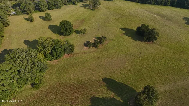 $655,875 | 4 Sulphur Springs Road, Canton, MS 39046