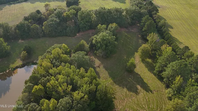 $655,875 | 4 Sulphur Springs Road, Canton, MS 39046