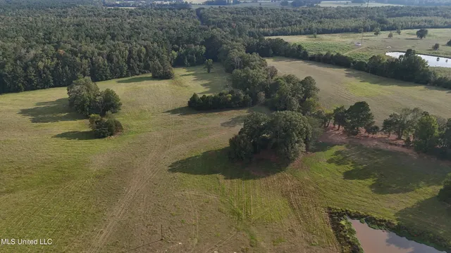 $655,875 | 4 Sulphur Springs Road, Canton, MS 39046