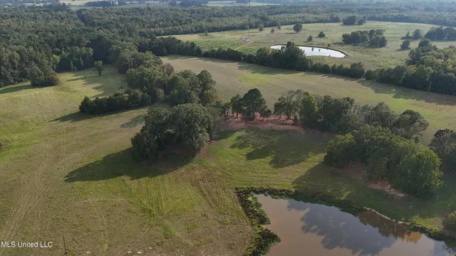 $655,875 | 4 Sulphur Springs Road, Canton, MS 39046