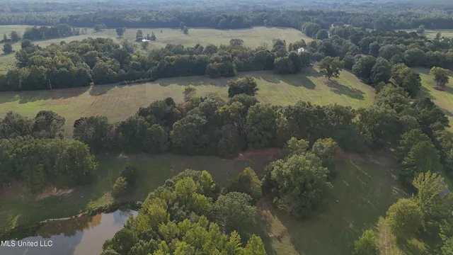 $655,875 | 4 Sulphur Springs Road, Canton, MS 39046