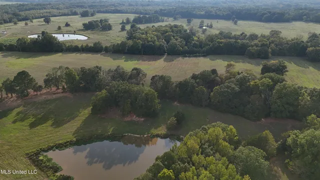 $655,875 | 4 Sulphur Springs Road, Canton, MS 39046