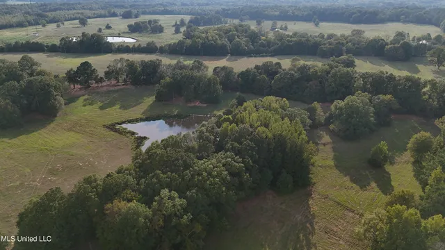 $655,875 | 4 Sulphur Springs Road, Canton, MS 39046