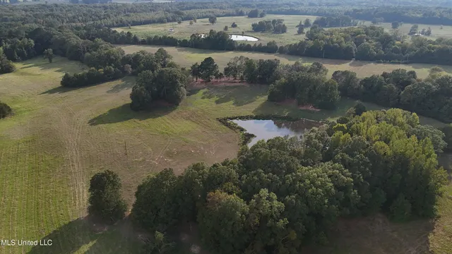 $655,875 | 4 Sulphur Springs Road, Canton, MS 39046