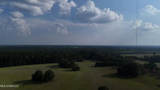 $655,875 | 4 Sulphur Springs Road, Canton, MS 39046