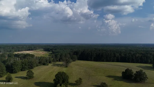 $655,875 | 4 Sulphur Springs Road, Canton, MS 39046