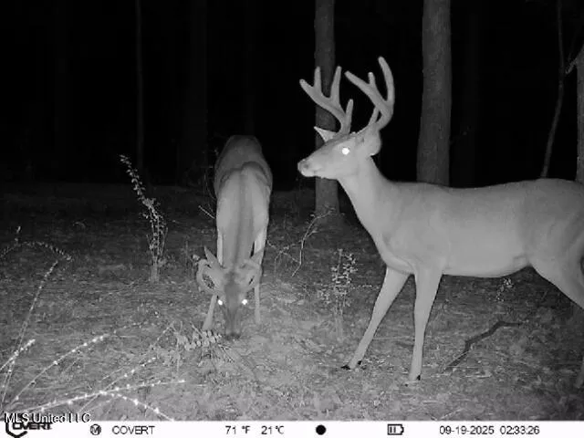 $655,875 | 4 Sulphur Springs Road, Canton, MS 39046