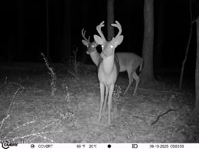 $655,875 | 4 Sulphur Springs Road, Canton, MS 39046