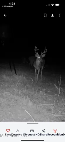 $655,875 | 4 Sulphur Springs Road, Canton, MS 39046