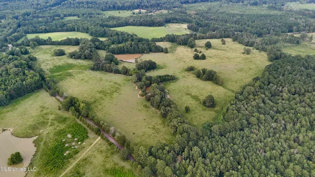 $655,875 | 4 Sulphur Springs Road, Canton, MS 39046