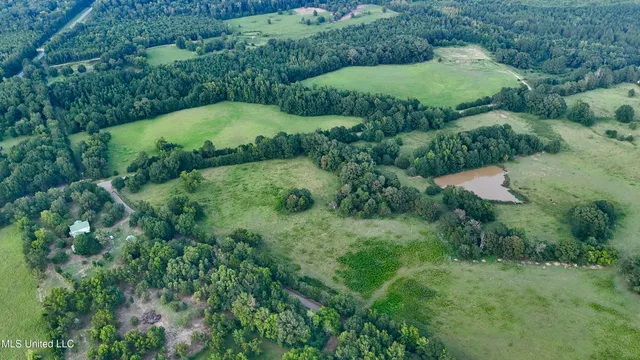 $655,875 | 4 Sulphur Springs Road, Canton, MS 39046