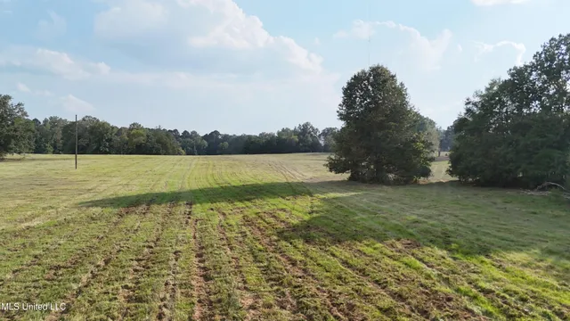 $655,875 | 4 Sulphur Springs Road, Canton, MS 39046