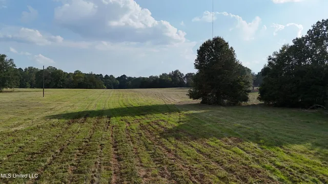 $655,875 | 4 Sulphur Springs Road, Canton, MS 39046