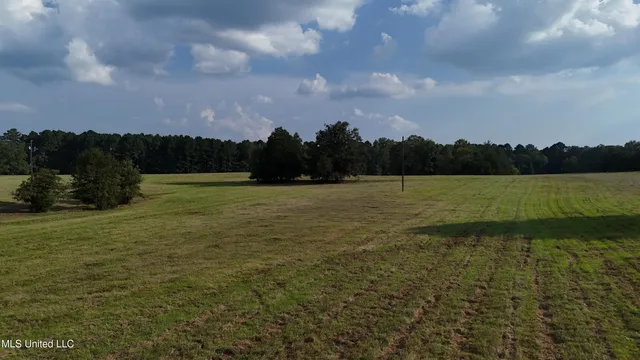 $655,875 | 4 Sulphur Springs Road, Canton, MS 39046