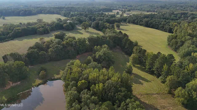 $655,875 | 4 Sulphur Springs Road, Canton, MS 39046