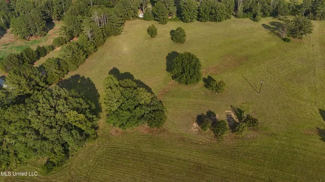 $655,875 | 4 Sulphur Springs Road, Canton, MS 39046