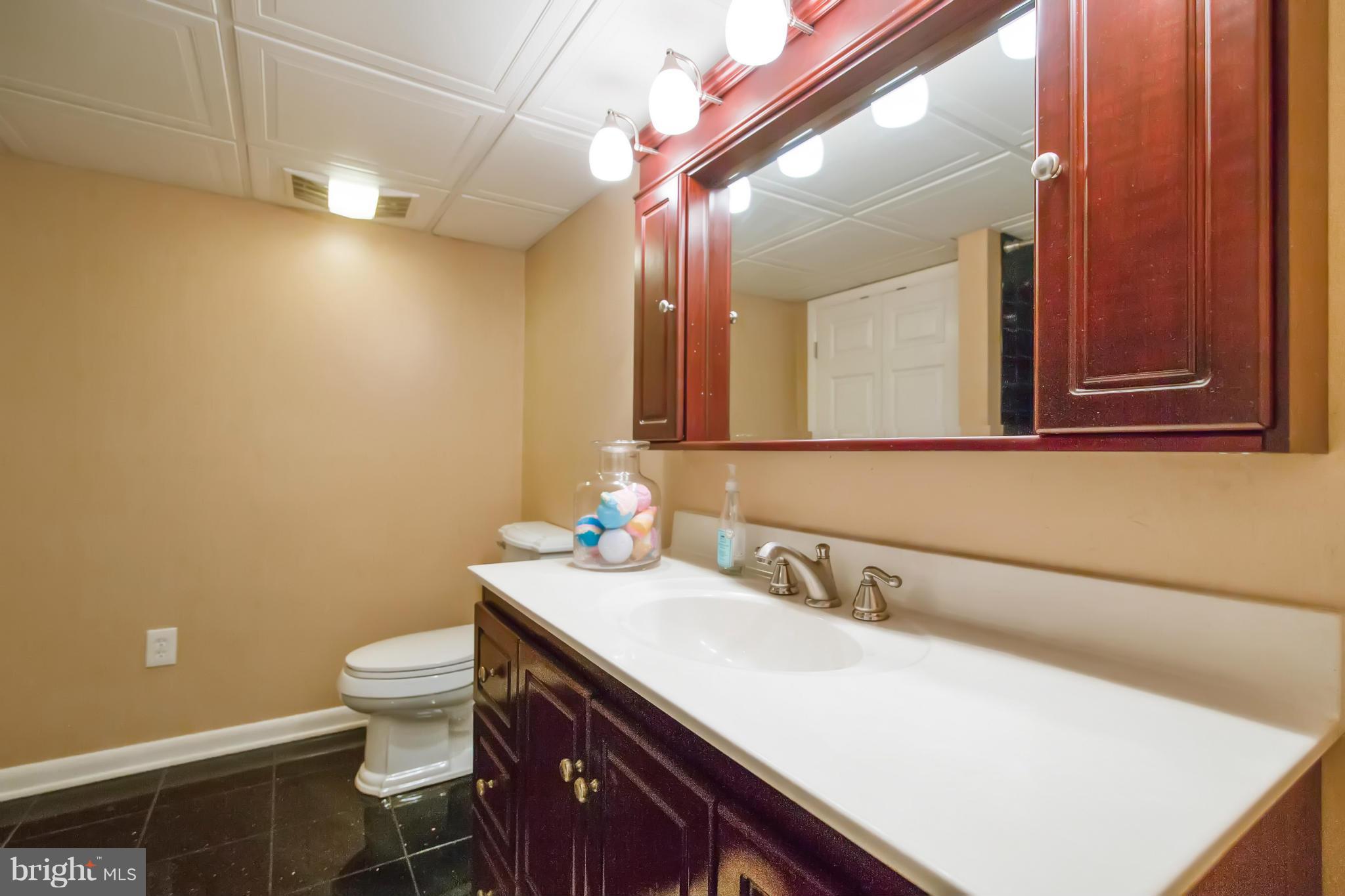 451 West Maple Road Linthicum Heights, MD 21090 - Photo 21 of 30 a bathroom with a sink a toilet and mirror