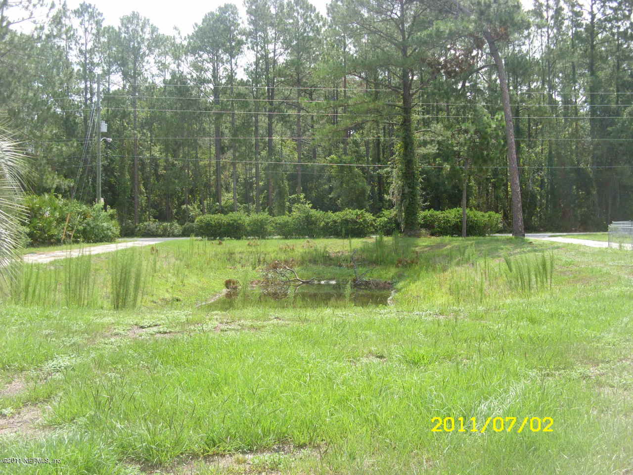 2462 Cortez Road Jacksonville, FL 32246 - Photo 5 of 15 front yard with pond