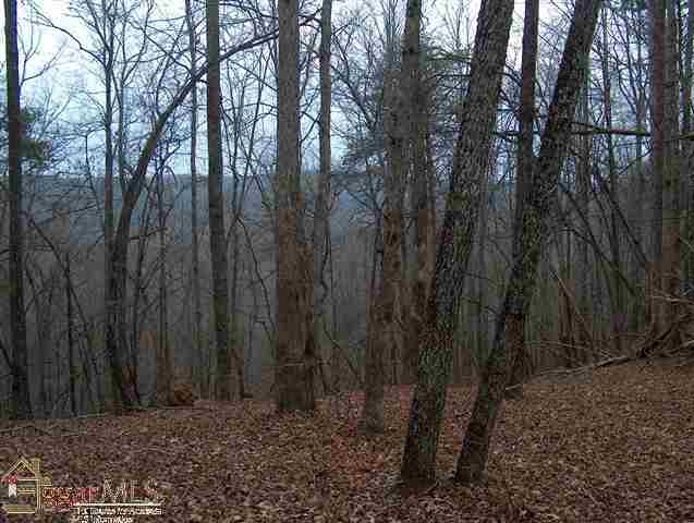 0 N/side Table Rock Rd Hwy 288 Pickens, SC 29671 - Photo 2 of 7