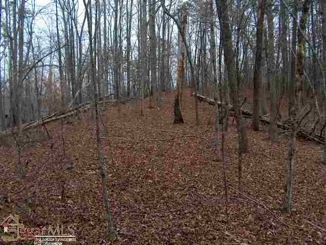 0 N/side Table Rock Rd Hwy 288 Pickens, SC 29671 - Photo 3 of 7