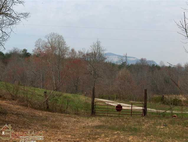 0 N/side Table Rock Rd Hwy 288 Pickens, SC 29671 - Photo 5 of 7