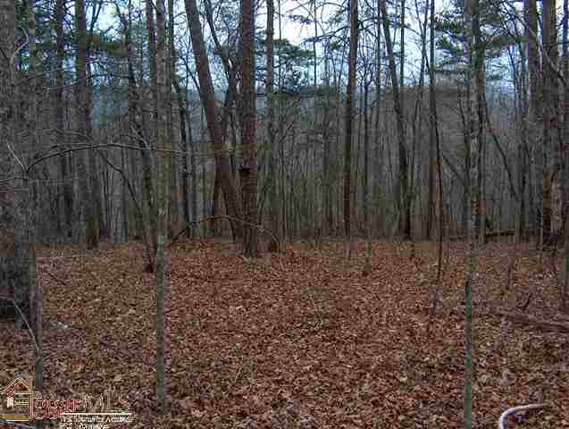 0 N/side Table Rock Rd Hwy 288 Pickens, SC 29671 - Photo 7 of 7