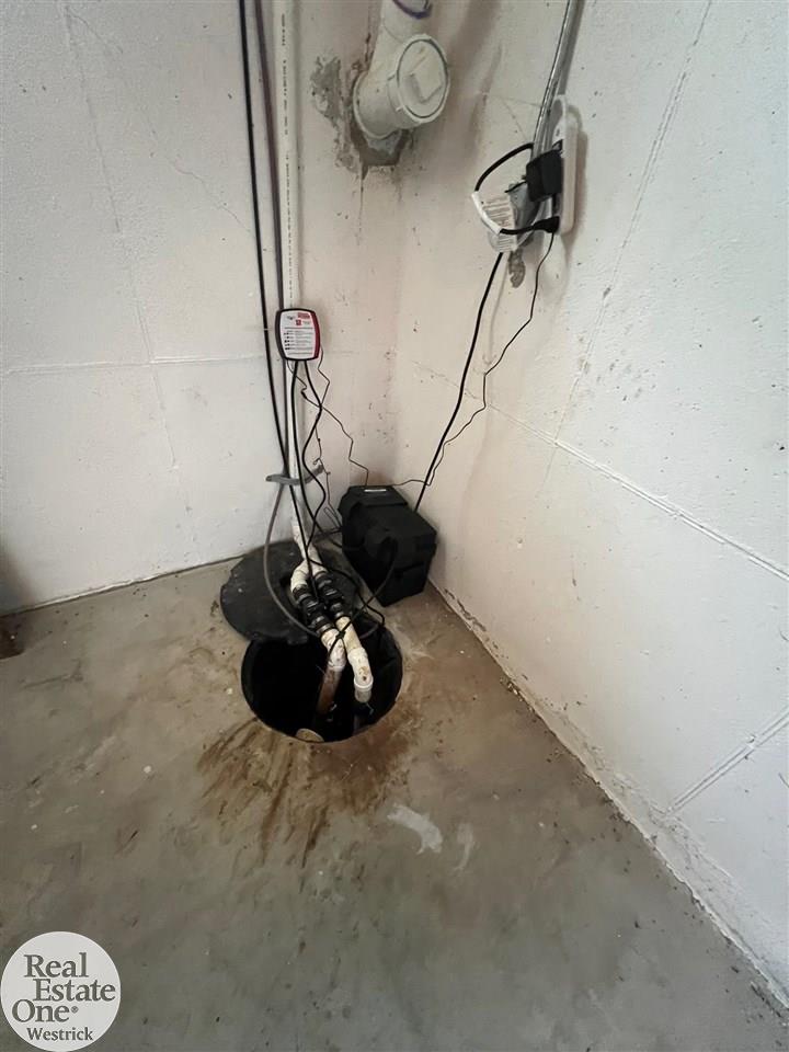 7818 Springborn Road Casco, MI 48064 - Photo 54 of 59 Sump pump w back up