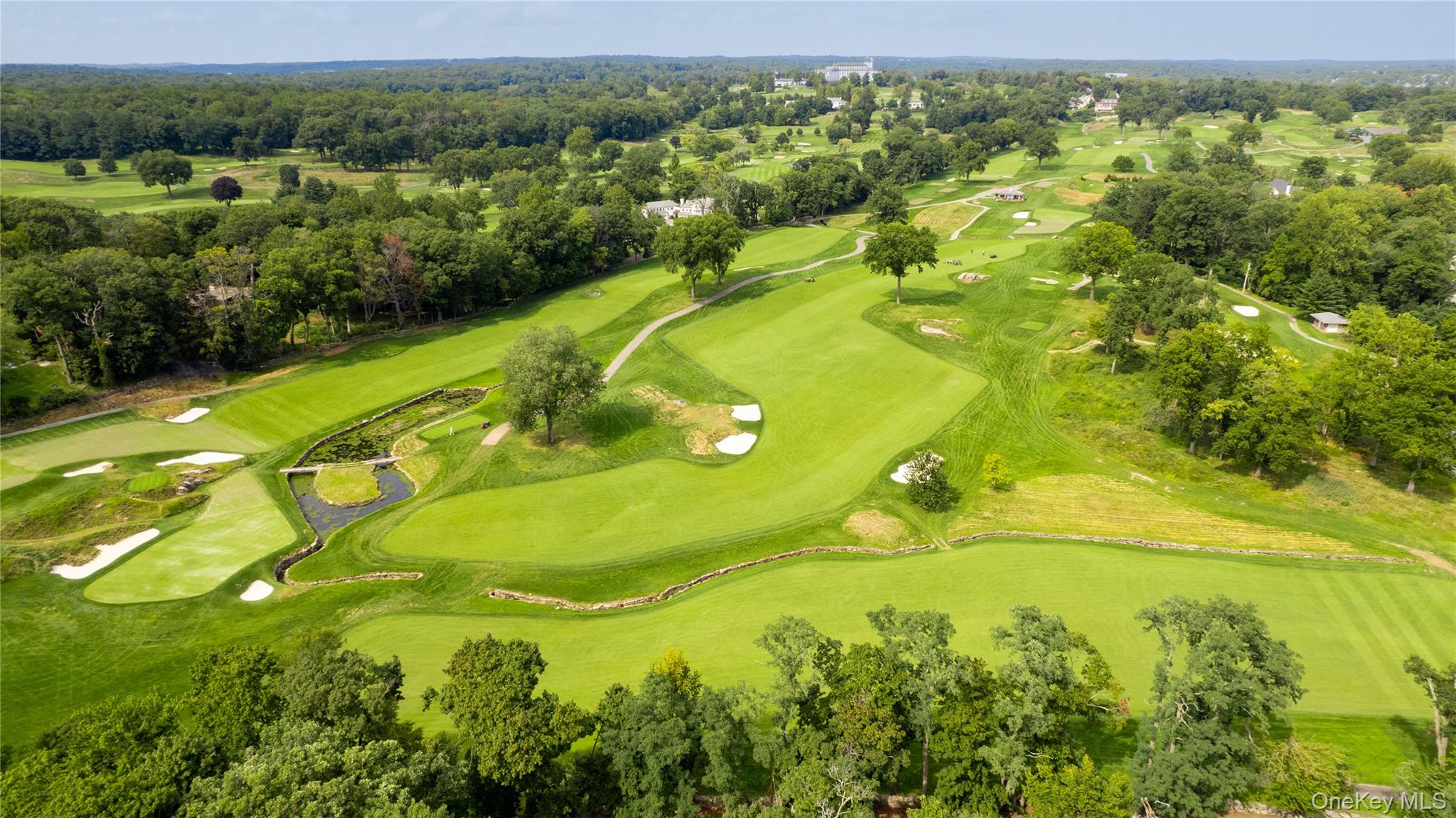 321 Locust Avenue Rye, NY 10580 - Photo 3 of 15 The gorgeous golf course view from the home.