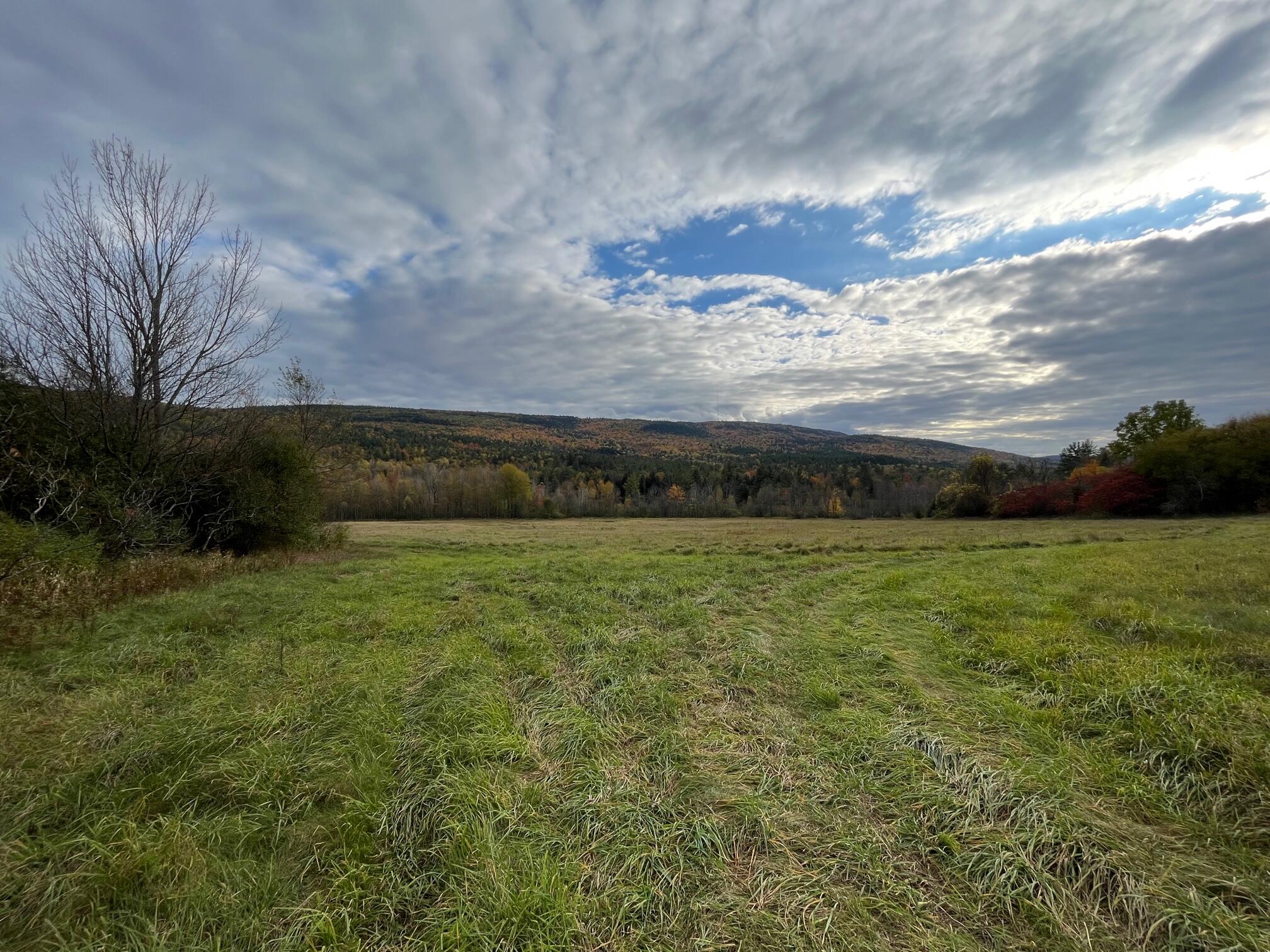 0 Peasleeville Road Peru, NY 12972 - Photo 3 of 7