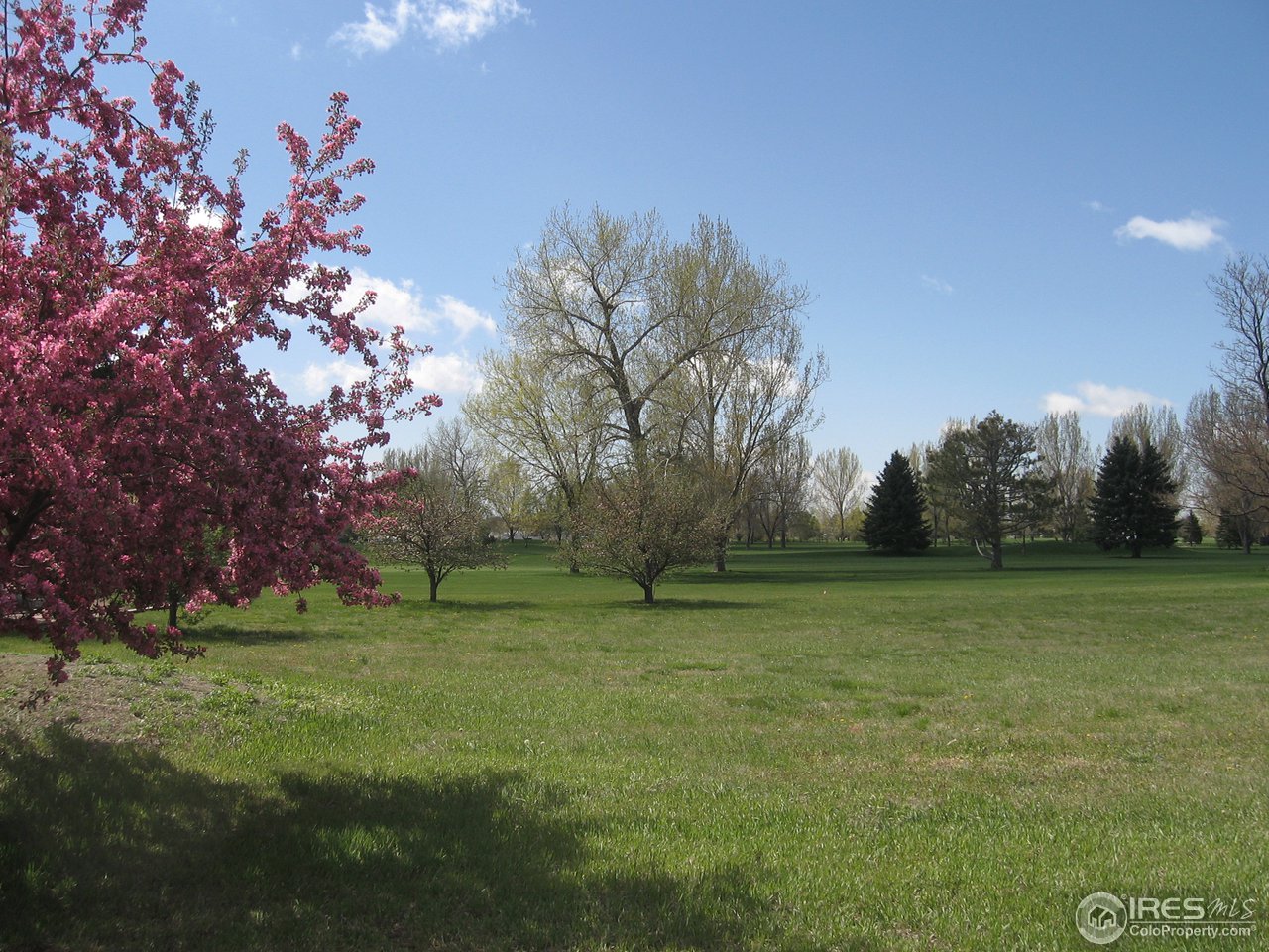 1708 Richards Lake Road Fort Collins, CO 80524 - Photo 18 of 18 Gallery Image 18