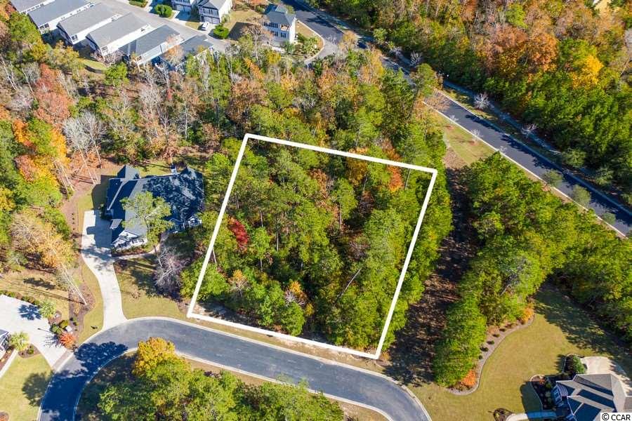 32 Cane Break Way Murrells Inlet, SC 29576 - Photo 1 of 29 Gallery Image 1