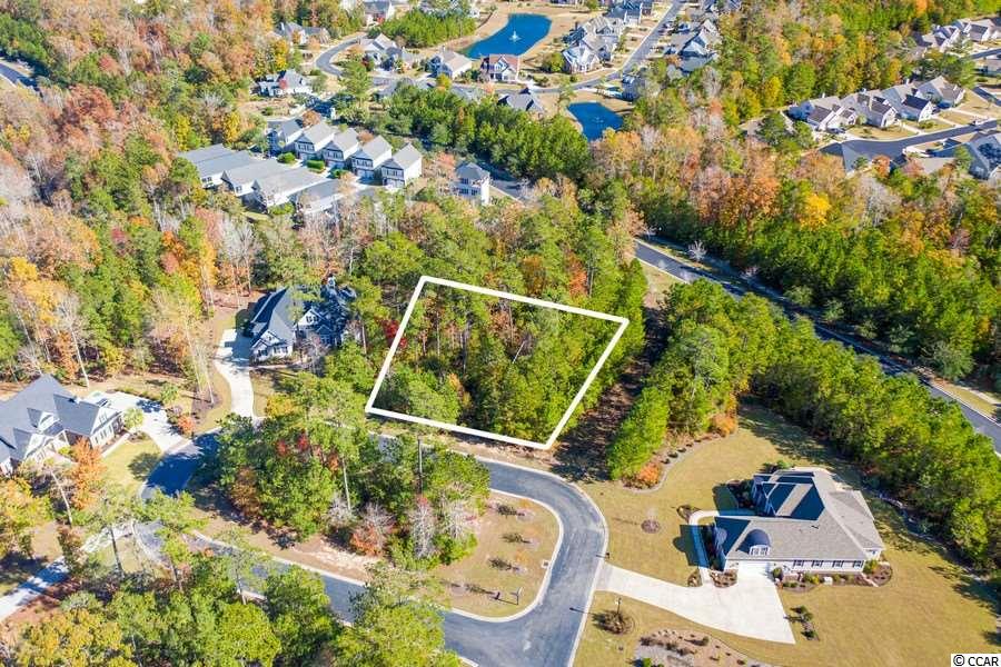 32 Cane Break Way Murrells Inlet, SC 29576 - Photo 3 of 29 Gallery Image 3