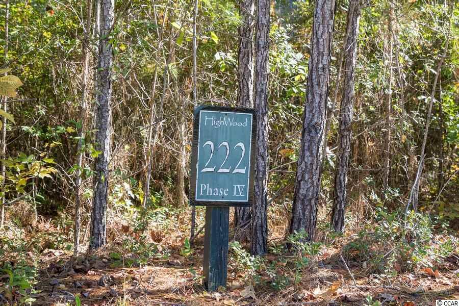 32 Cane Break Way Murrells Inlet, SC 29576 - Photo 5 of 29 Gallery Image 5