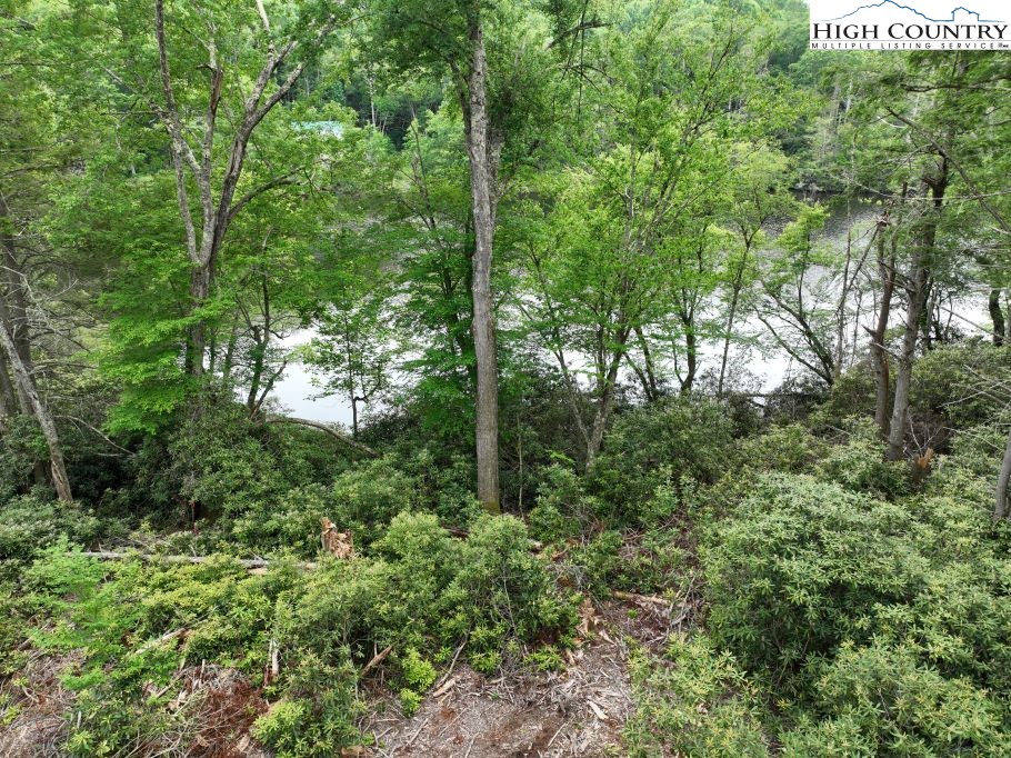 1764 Ripshin Mountain Road Roan Mountain, TN 37687 - Photo 16 of 29 a view of a forest with trees