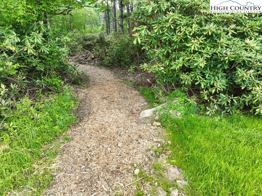 1764 Ripshin Mountain Road Roan Mountain, TN 37687 - Photo 2 of 29 a view of a pathway both side of yard