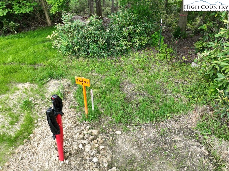 1764 Ripshin Mountain Road Roan Mountain, TN 37687 - Photo 3 of 29 a view of a park