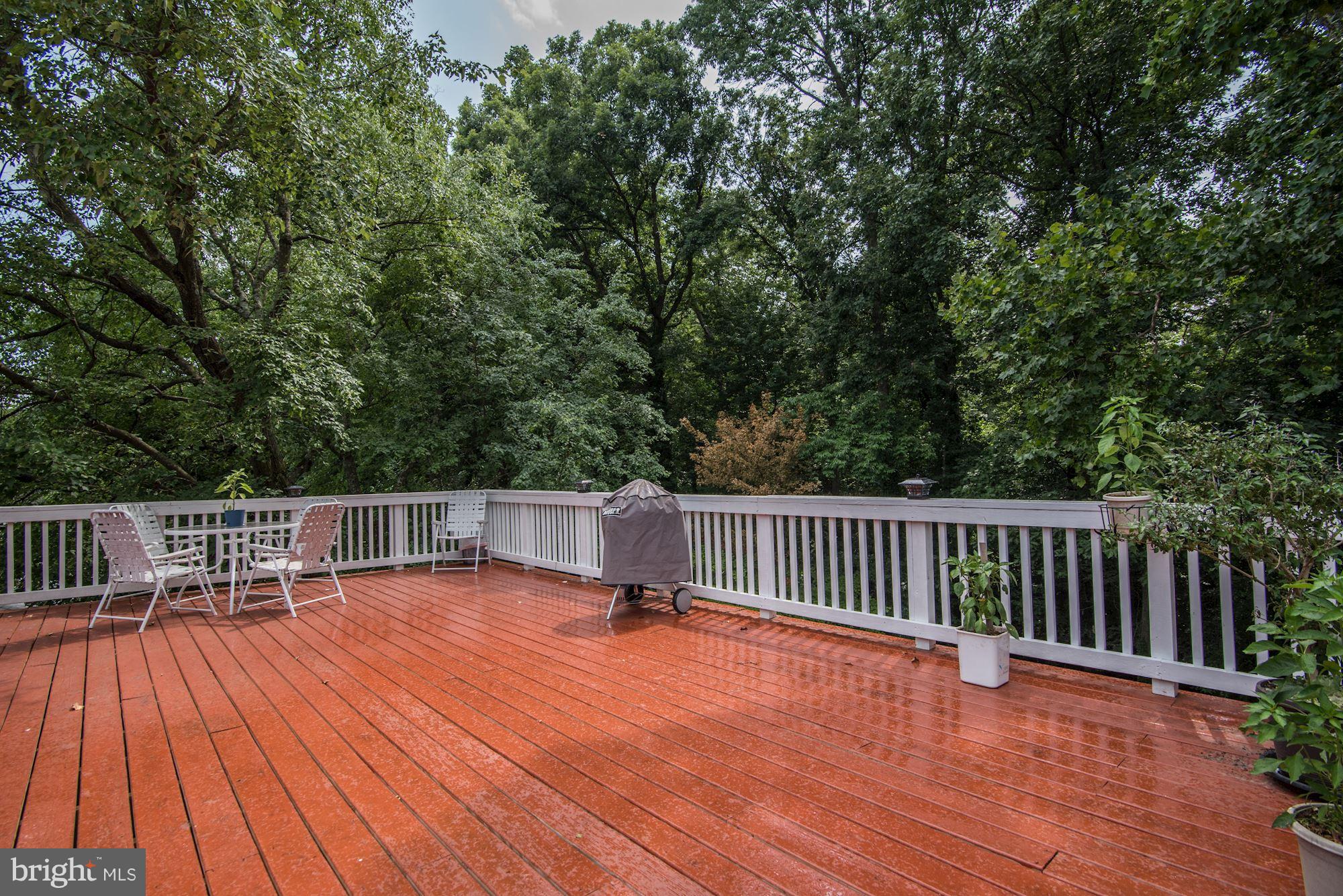 11712 Lytle Street Silver Spring, MD 20902 - Photo 22 of 26 Exterior (Rear)