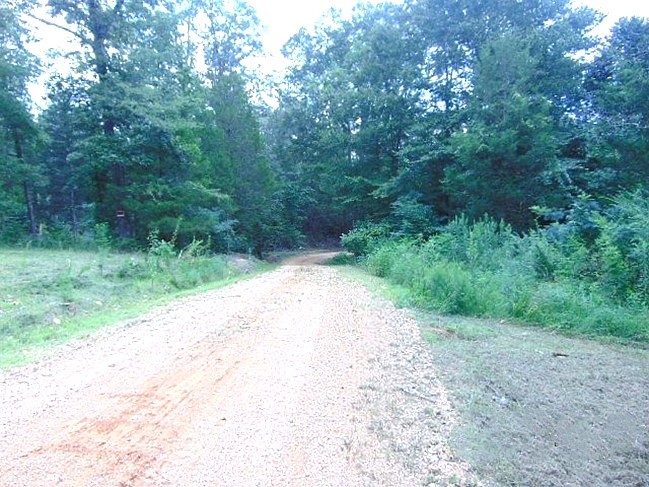 225 Largo Road Decaturville, TN 38329 - Photo 3 of 6 Gallery Image 3