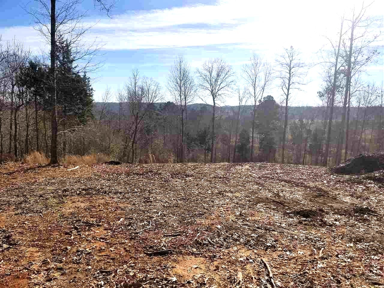225 Largo Road Decaturville, TN 38329 - Photo 4 of 6 Gallery Image 4