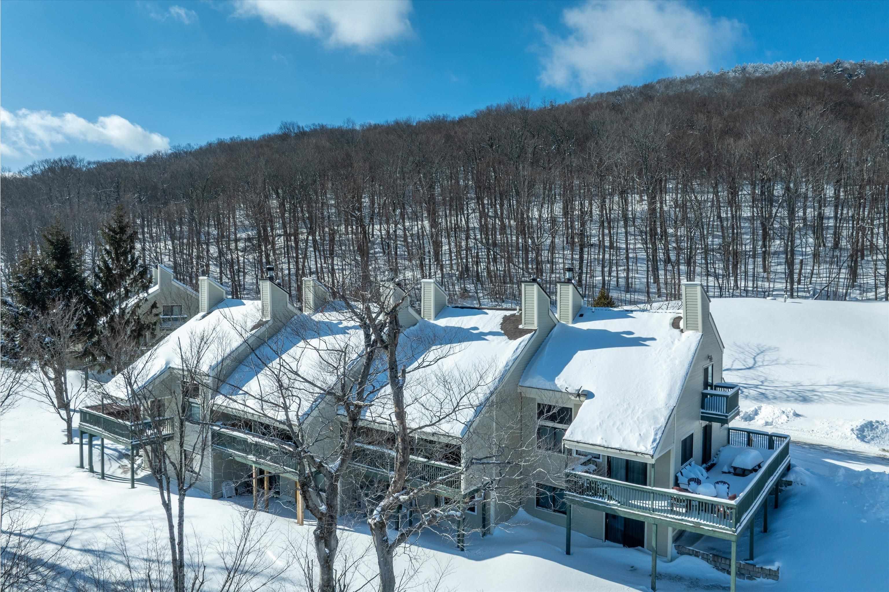 233 Okemo Trailside Extension, Unit 45A Ludlow, VT 05149 - Photo 49 of 60