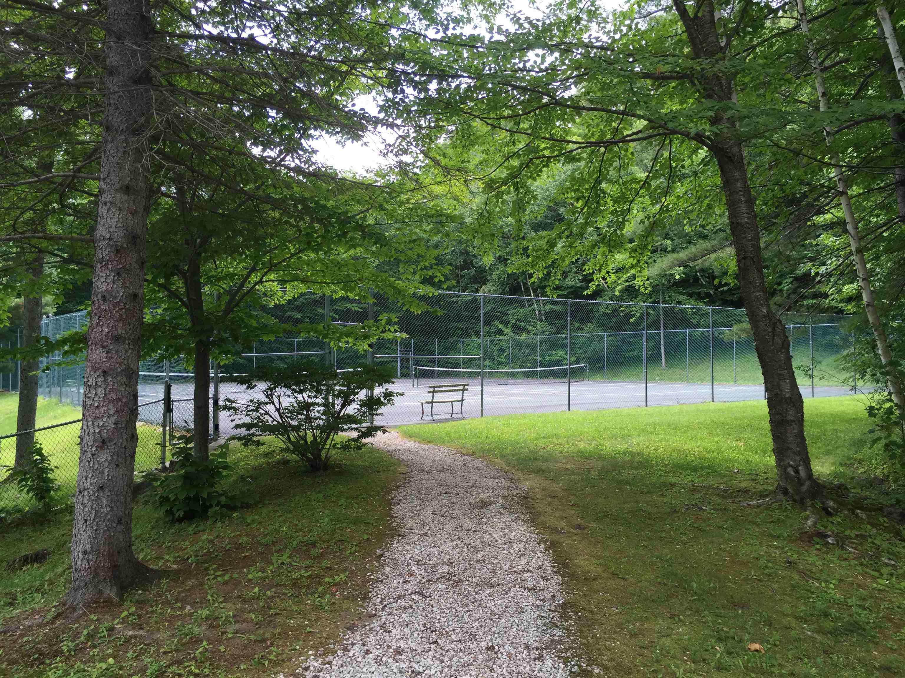 233 Okemo Trailside Extension, Unit 45A Ludlow, VT 05149 - Photo 53 of 58