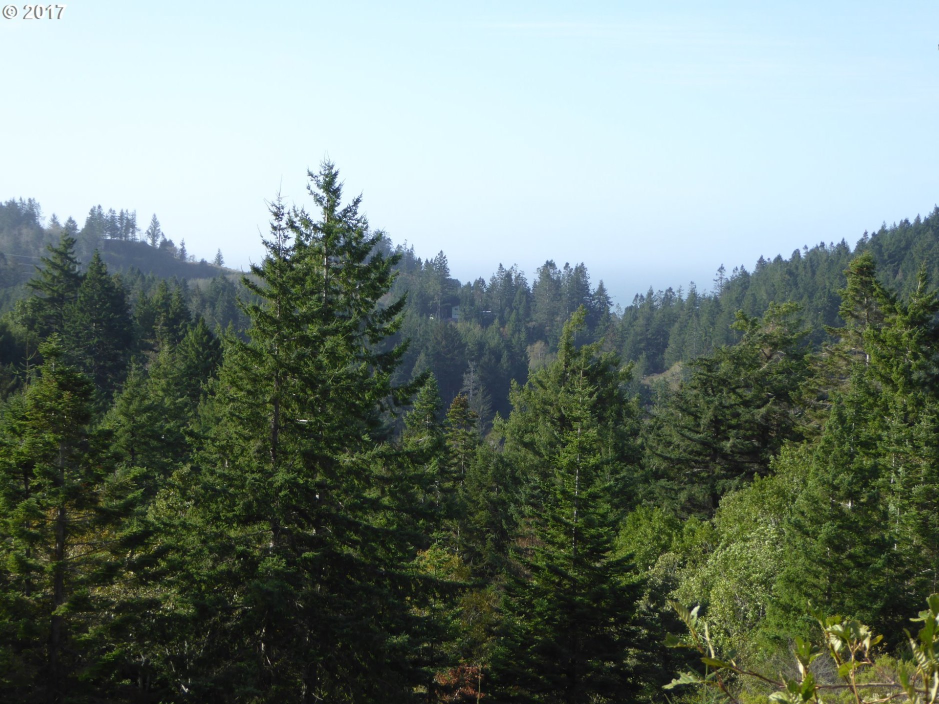 94583 Quarry Road Gold Beach, OR 97444 - Photo 13 of 29 Gallery Image 13