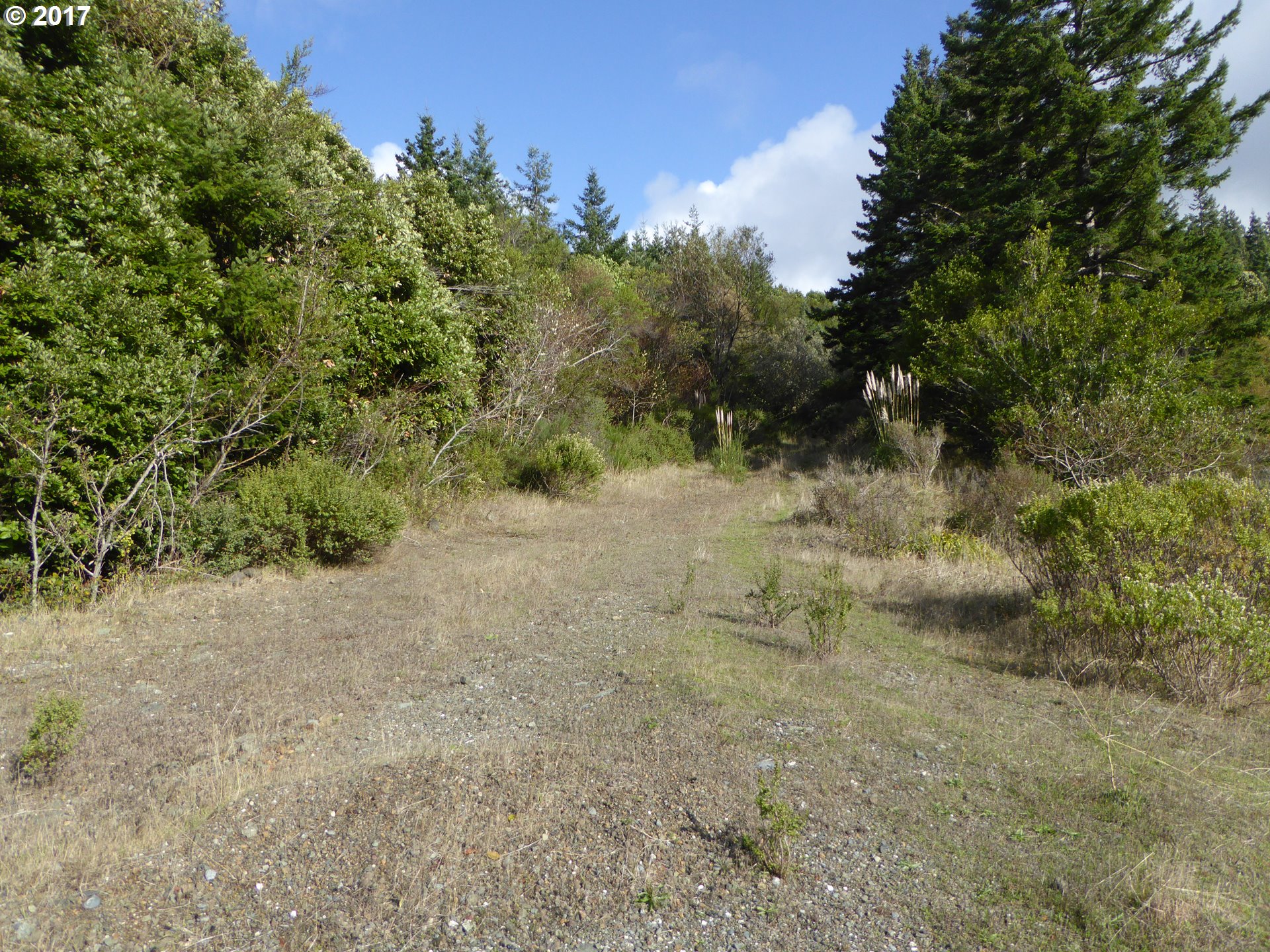 94583 Quarry Road Gold Beach, OR 97444 - Photo 15 of 29 Gallery Image 15