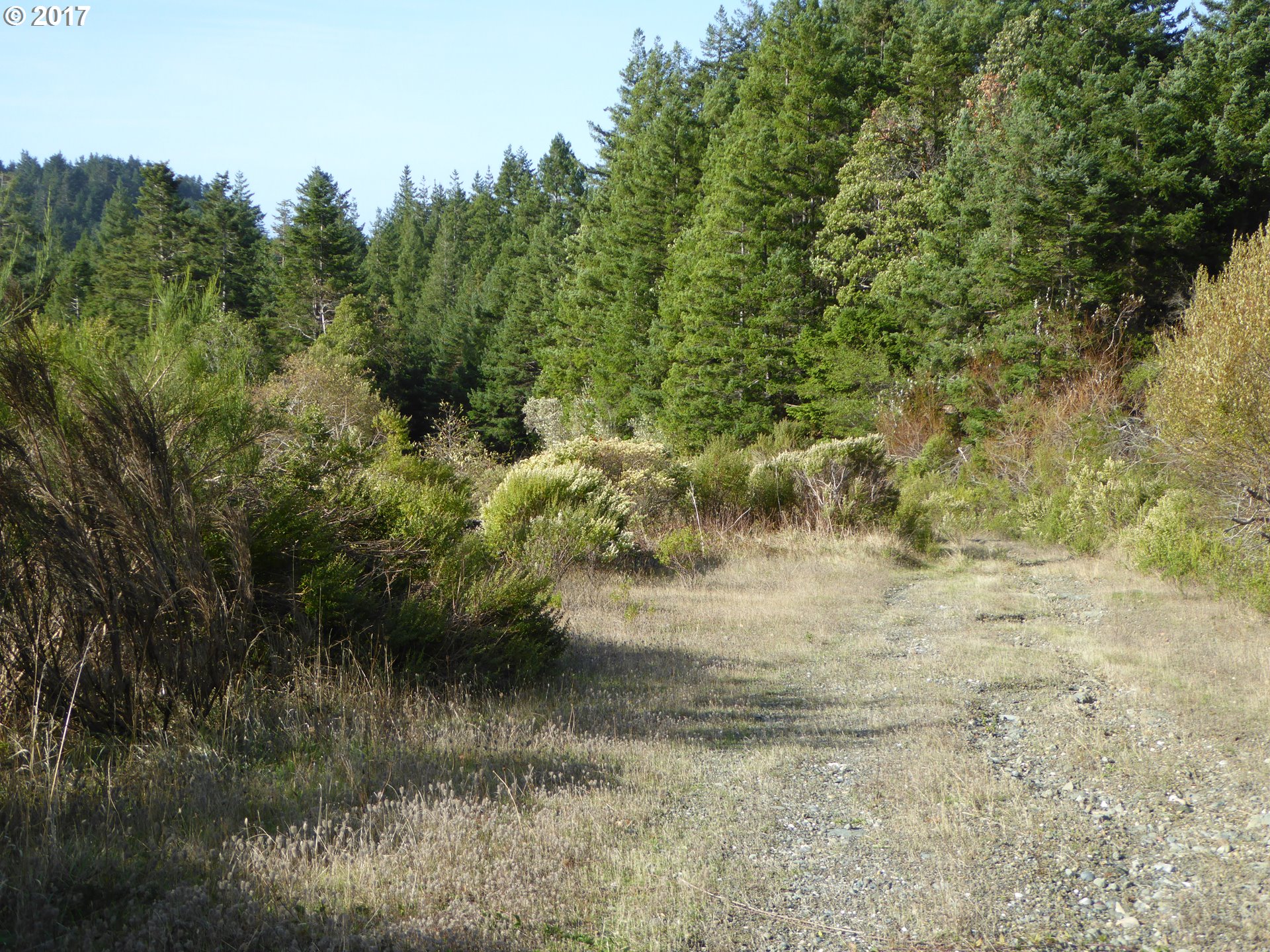 94583 Quarry Road Gold Beach, OR 97444 - Photo 16 of 29 Gallery Image 16